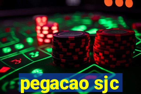 pegacao sjc